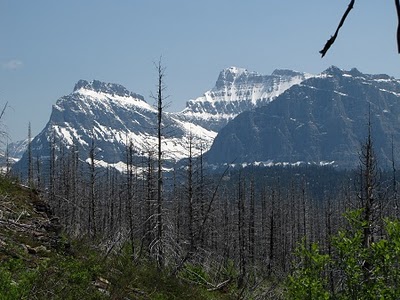 Loop Trail Glacier National Park