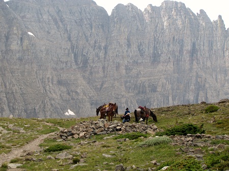 horses.Piegan. Glacier