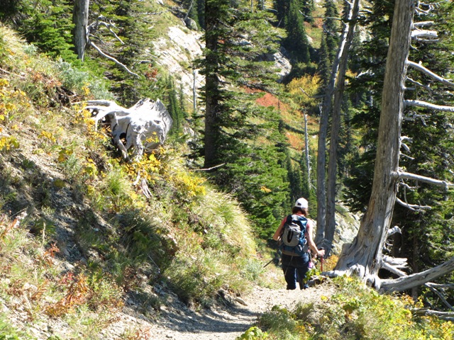 Descending Birch Lake Trail
