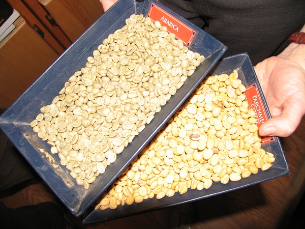 Montana Coffee Traders coffee beans