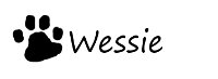 Wessie's signature