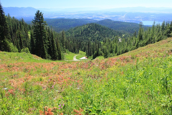 View of Flathead Valley from Danny On Trail, Big Mountain