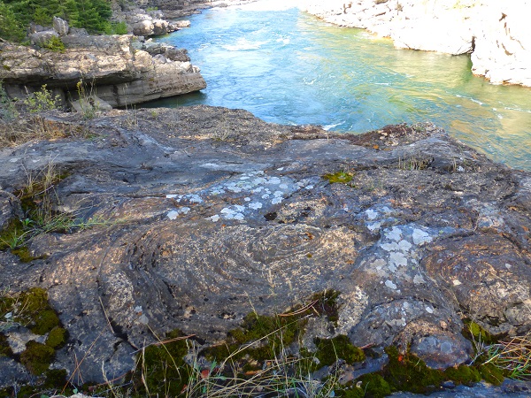 Stromatolite formations below the swinging bridge 