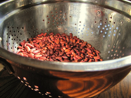 rinse and sort beans